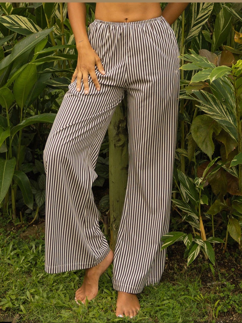 Albion SLIP ON TROUSER, CREAM COCOA STRIPE Color Size XSmall Tall NWT